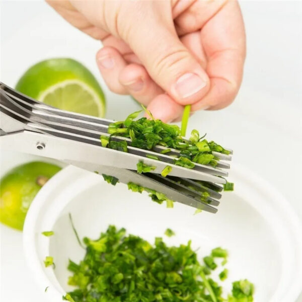 Multifunctional Multi-layer Green Onion Scissors Stainless Steel Onion Cutting Knife Herb Seaweed Spice Scissors Kitchen Scissor Kitchen Gadgets - Image 5